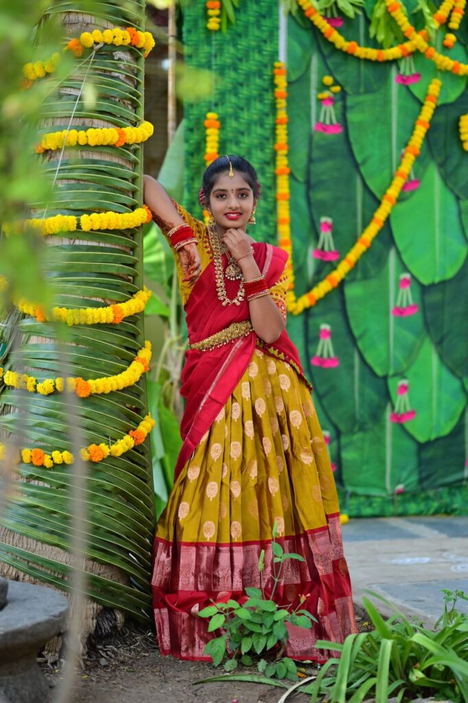 South India Half Saree photo